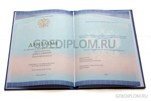диплом техникума колледжа 2014-2025 года
